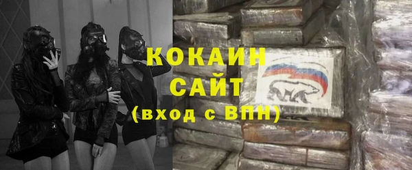 шишки Белоозёрский