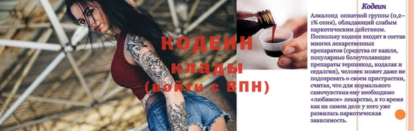 шишки Белоозёрский