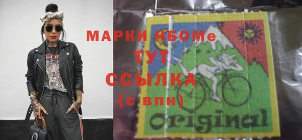 шишки Белоозёрский