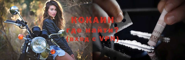 шишки Белоозёрский
