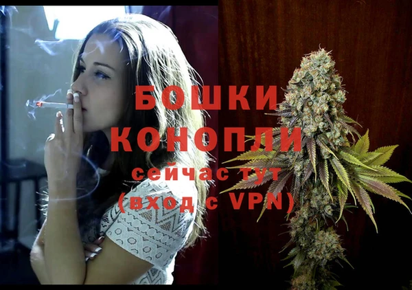 шишки Белоозёрский