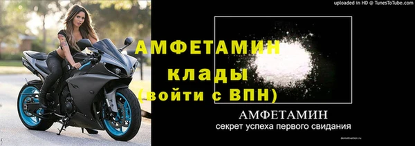 шишки Белоозёрский
