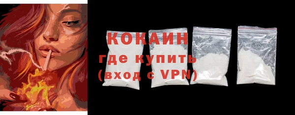 шишки Белоозёрский