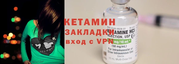 шишки Белоозёрский