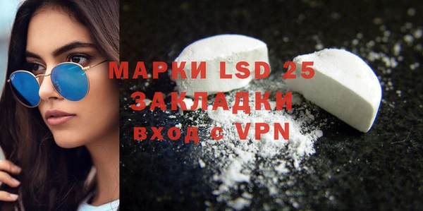 шишки Белоозёрский