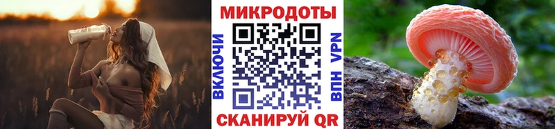купить наркоту Славгород Псилоцибиновые грибы Psilocybe